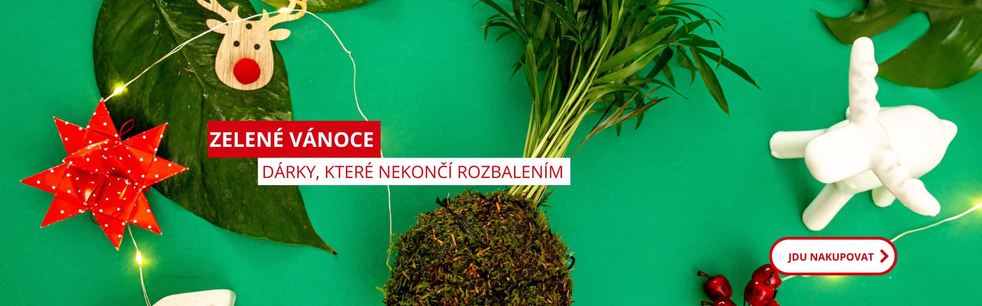 Zelené Vánoce - dárky, které nekončí rozbalením