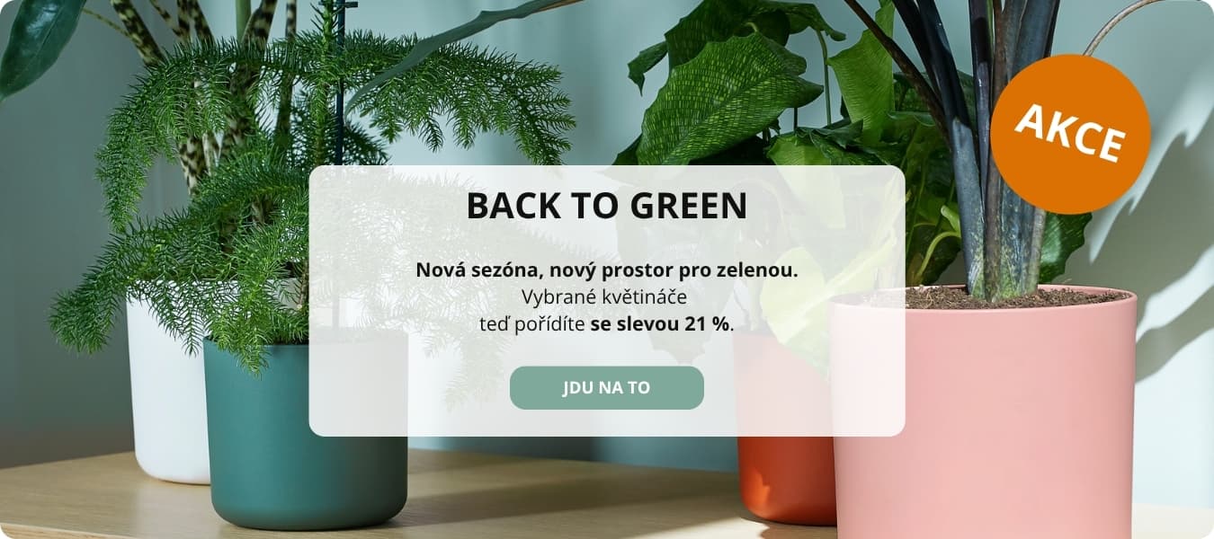 Ke každé pokojové rostlině získáte 21 % slevu na vybrané květináče