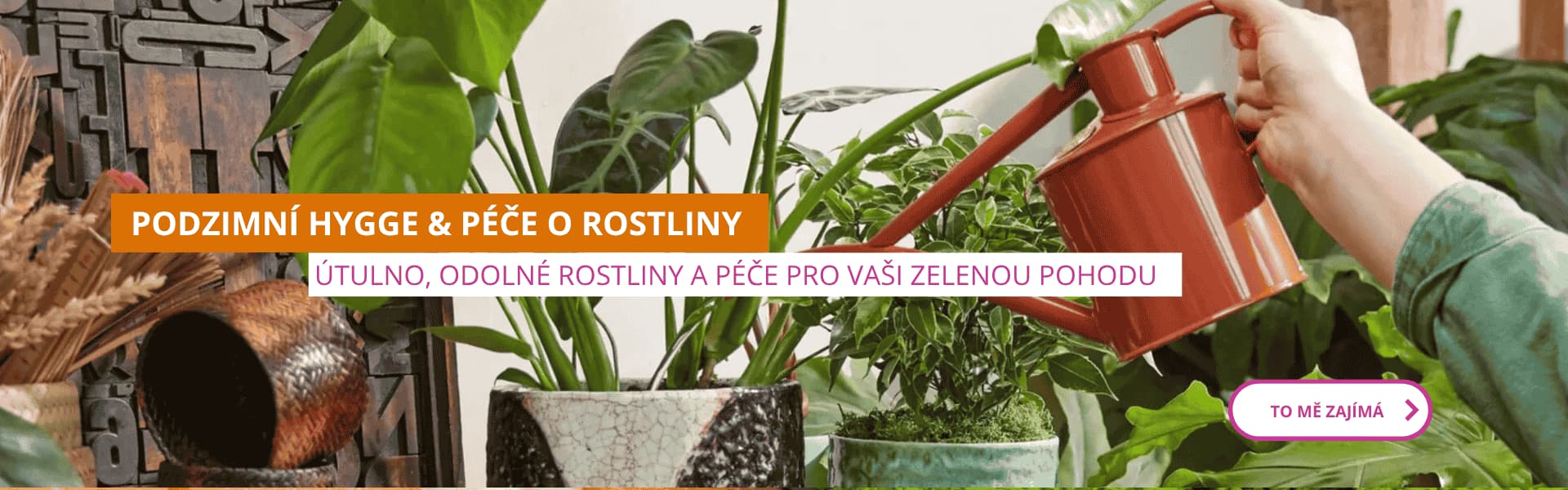 Útulno, odolné rostliny a péče pro vaši zelenou pohodu