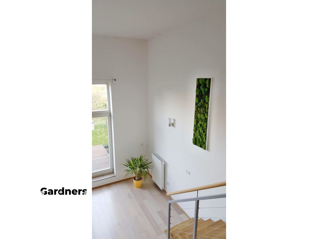 Gardners.cz mechový obraz (1)