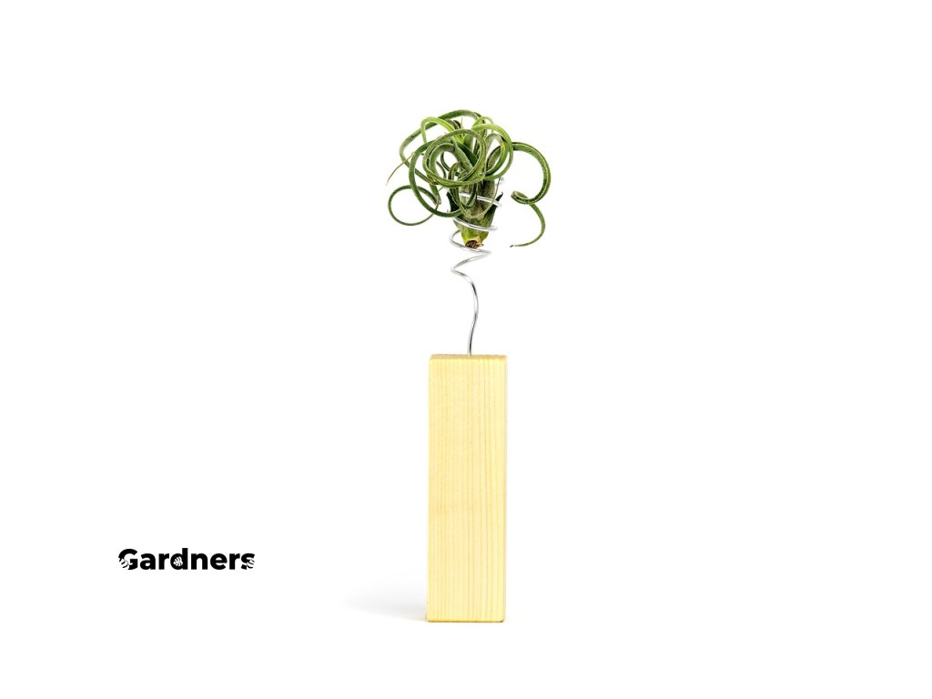 Gardners.cz dreveny stojanek stribrna UNO1