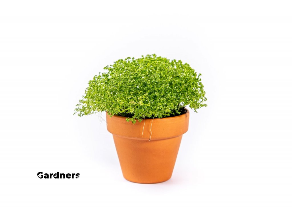 Gardners produkt 007