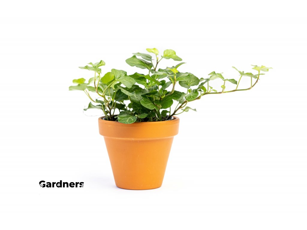 Gardners produkt 028
