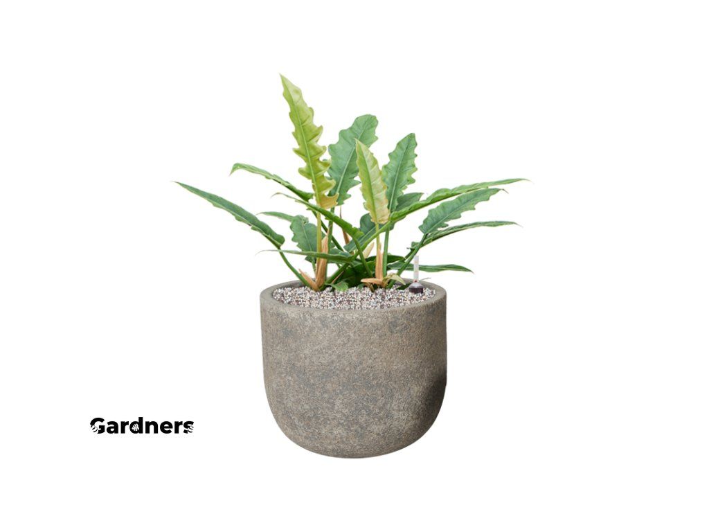 hovering plant pot Fantasy Collection Levitating Air-Floating Bonsai Pot main image 0
