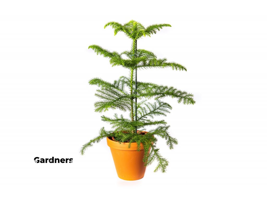 Gardners produkt 041