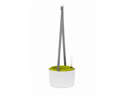 11534 5 samozavlazovaci zavesny kvetinac zardina berberis 30 cm bila