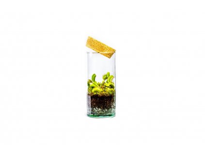 14030 sklenena vaza bacopa s korkovym spuntem vyska 19 cm prumer 8 5 cm osazene vlhkomilne