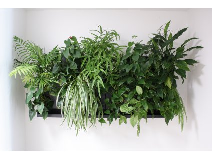 Obraz z živých rostlin HUB DUO 50x50 cm pro 13 rostlin, osázený, hnědá