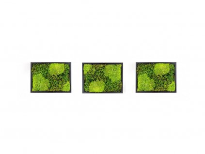 Set 3 mechových obrazů 13x18 kombinovaný mech kopečkový s plochým, černá  + doprava zdarma