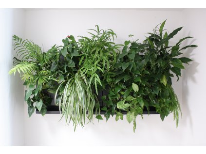 Obraz z živých rostlin HUB DUO 50x50 cm pro 13 rostlin, neosázený, bílá  + doprava zdarma