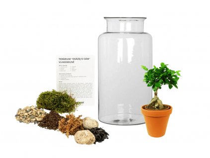 25497 sklenena vaza digitalis osazej si sam ficus microcarpa ginseng l