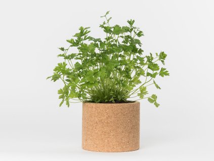 25890 10 grow cork pot petrzel