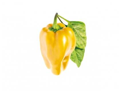 yellow sweet pepper 1200x960