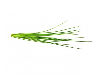 Chives plant 1200x960