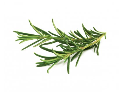 rosemary 1200x960