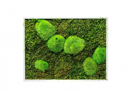 3128 3 mechovy obraz 30x40 cm kombinovany mech kopeckovy s plochym bila