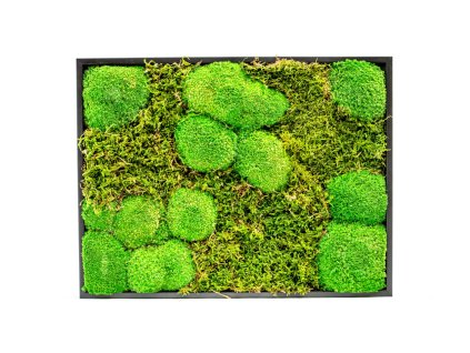 Mechový obraz 30x40 cm kombinovaný mech kopečkový s plochým, černá