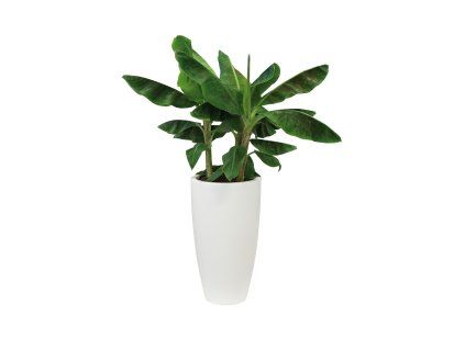 31311 obal pure soft high prumer 40 cm vyska 70 cm bila