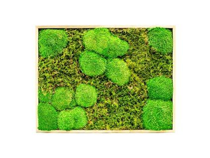 Mechový obraz 30x40 cm kombinovaný mech kopečkový s plochým, přírodní