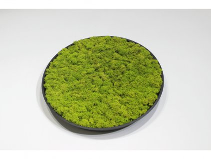 31530 moss lime green