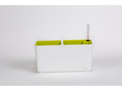 Samozavlažovací truhlík Berberis bílá + zelená, 40 cm