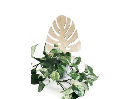 32618 vzpera k rostlinam monstera 60 cm