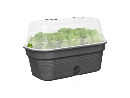 Truhlík Green Basics growpot tray all-in-1 32 cm , černá