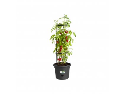 38385 3 obal green basics tomato pot 33 cm cerna