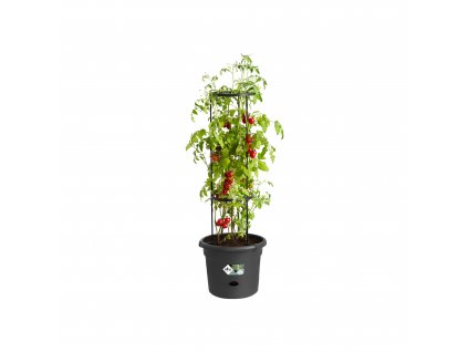 Obal Green Basics Tomato Pot 33 cm, černá