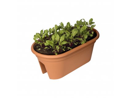 38391 3 truhlik green basics flower bridge 55 cm hneda