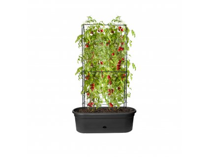 38412 3 truhlik green basics veggie wall 80 cm cerna