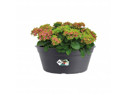 38418 3 zardina green basics bowl 33 cm cerna