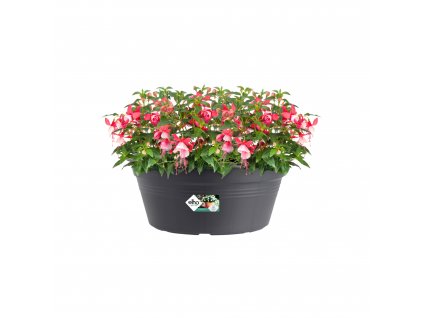 38421 3 zardina green basics bowl 38 cm cerna
