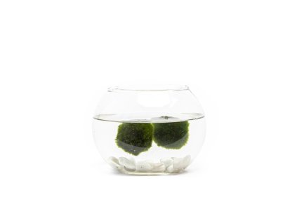 Skleněná váza boule 15 cm a 2 řasokoule