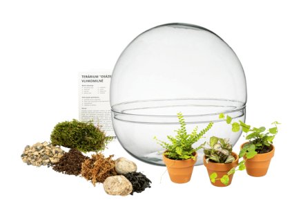 38967 sklenene terarium boule osazej si sam vlhkomilne l