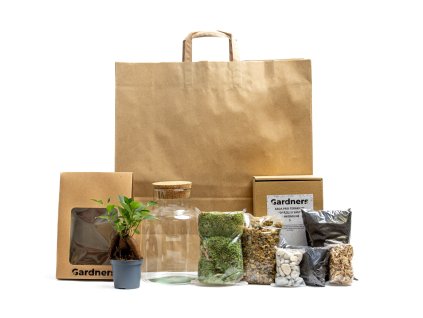 Skleněná dóza HELENIUM OSÁZEJ SI SÁM Ficus microcarpa Ginseng, S v dárkovém balení