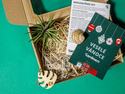 39126 vanocni darkova sada snek vyrob si sam s tillandsii ionantha