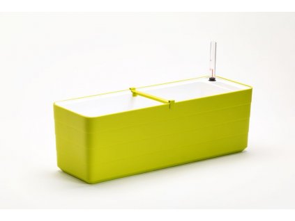 Samozavlažovací truhlík Berberis zelená + bílá, 60 cm