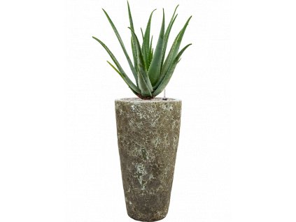 42879 1 aloe vera barbadensis v obalu baq lava substrat vulkastrat prumer 35 cm