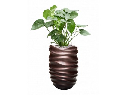 43485 1 monstera deliciosa v obalu baq gradient lee substrat vulkastrat prumer 40 cm