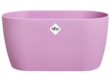 50001 obal brussels orchid duo 25 cm fialova