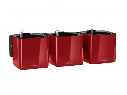 Sada 3 samozavlažovacích květináčů Cube Glossy Green Wall Home Kit, červená