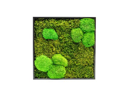 Mechový obraz 35x35 cm kombinovaný mech kopečkový s plochým, černá
