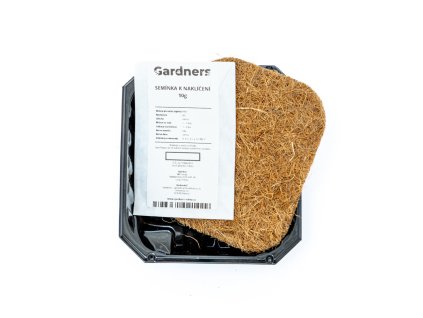 86895 pestebni miska microgreens vypestuj si sam amarant red