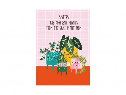 Pohled Plant sisters, 1 ks