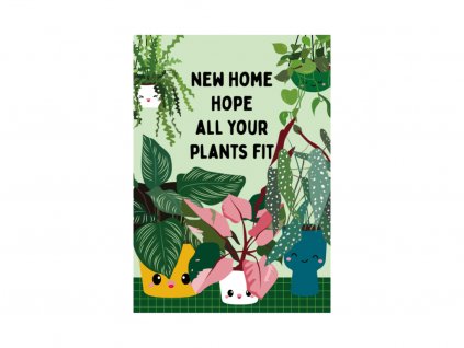 Pohled Plants new home, 1 ks