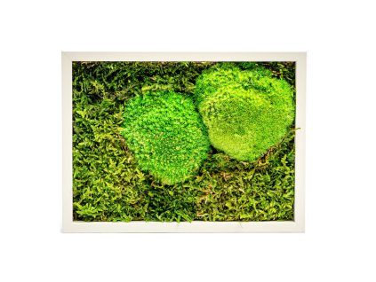 Mechový obraz 13x18 cm kombinovaný mech kopečkový s plochým, bílá