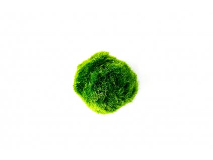 6308 rasokoule zelena xl