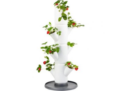 81411 gusta garden sissi strawberry starter samozavlazovaci truhlik 4 patra bily