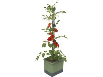 81435 gusta garden tom tomato standard samozavlazovaci truhlik tmave zeleny
